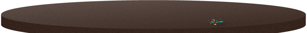Mesa