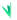 Hoja